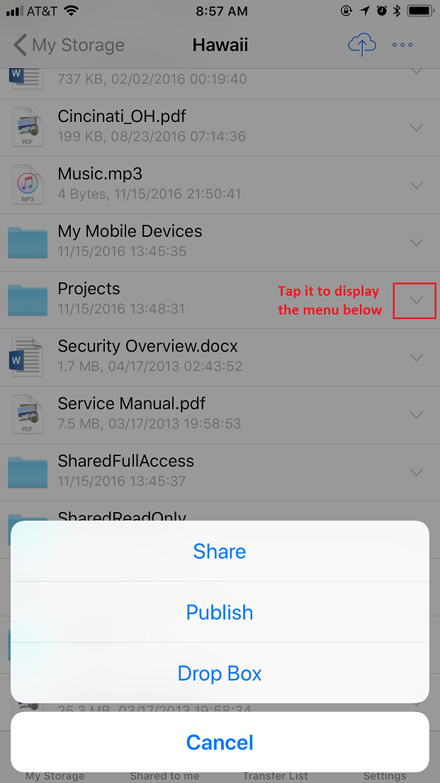 DriveHQ FileManager for iPhone screenshot -  Share, publish a folder or create a File Drop Box