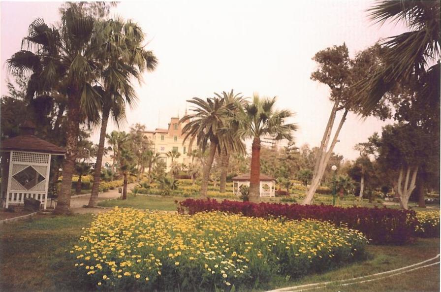 2004, Alexandria; Muntazah1.jpg