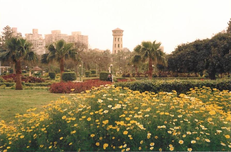 2004, Alexandria; Muntazah2.jpg